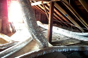 gal/Button House - Restoration/tn_DCP_785.jpg